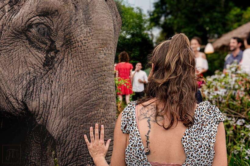 Siem Reap: Small Group Tour of Kulen Elephant Forest - Returning to base camp for Khmer food