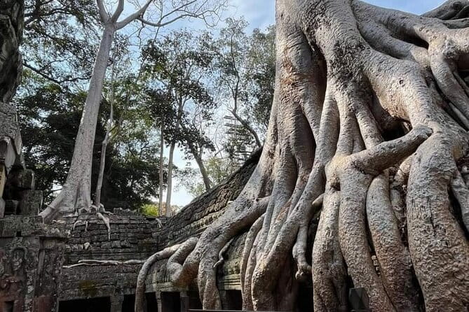 Siem Reap Temple Tuktuk Tour: Explore Angkor Wat and beyond. - Bayon Temple: faces at the heart of Angkor Thom