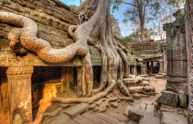 Siem Reap Tour: Angkor Wat Sunrise, Bayon, Ta Prohm, Banteay Srei - Key points to know before booking