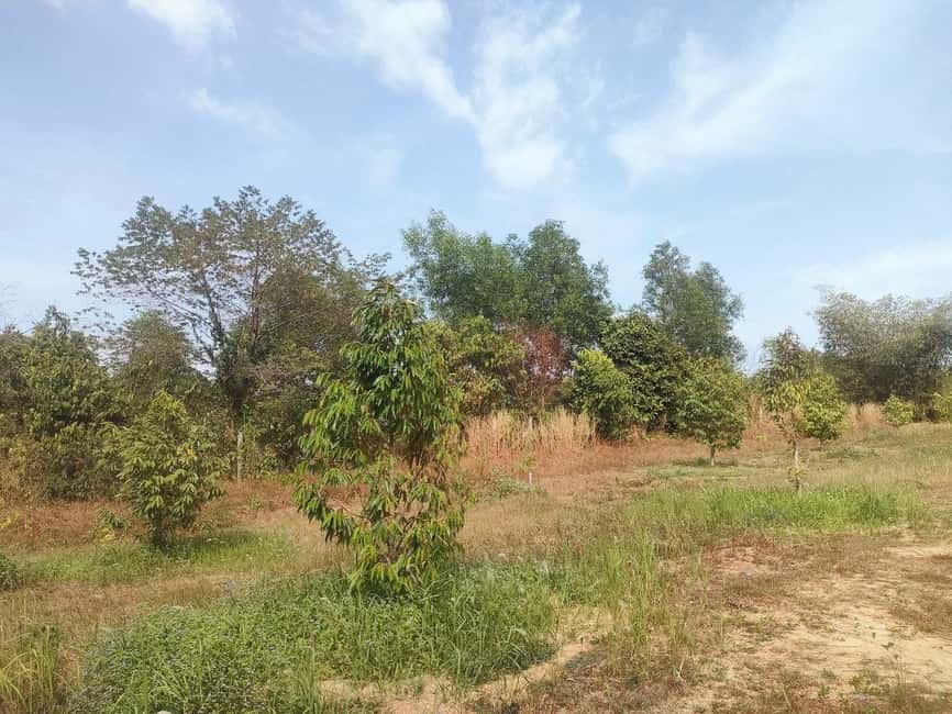 Sihanoukville: Koh Kjorng Village (4 hours tour) - The return route adds a few city sights