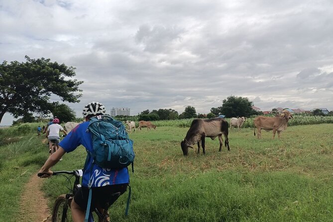 Silk Island at Twilight Cycle Encounter - Riding beside the river and through village lanes