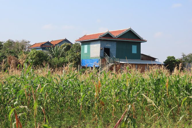 Silk Island & countryside of Phnom Penh by Tuk Tuk - Farms, Fruit, and Sedge Mat Weaving