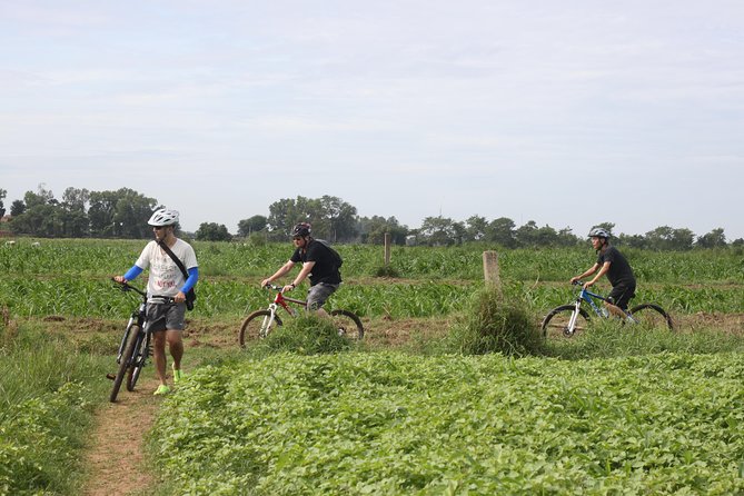 Silk Island Cycling Adventure & lunch with locals - Cycling through farms, villages, and island roads
