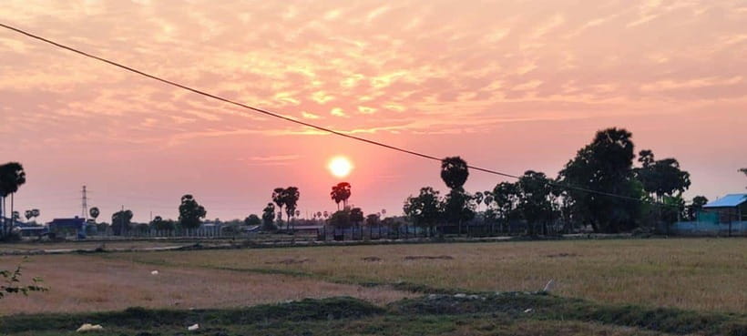 Small Group Countryside Sunset Bike Tours - Rice fields, lotus farms, and open country