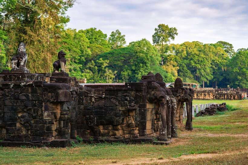 Sun-Kissed Angkor: A Journey from Light to Twilight - Ta Prohm, where stone and nature meet