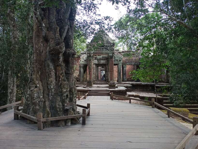 Sun Rise Small Group Day Tour in Temples of Angkor - Ta Prohm and the famous jungle setting