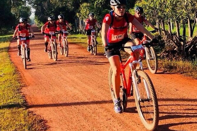 Sunrise Bike Tour At Siem Reap Angkor Wat - Ta Prohm and its tree-covered ruins