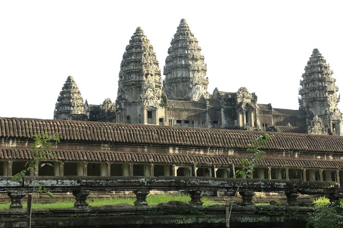 Sunrise Shared Tour in Angkor from Siem Reap - Ta Prohm and the Trees Among the Stones