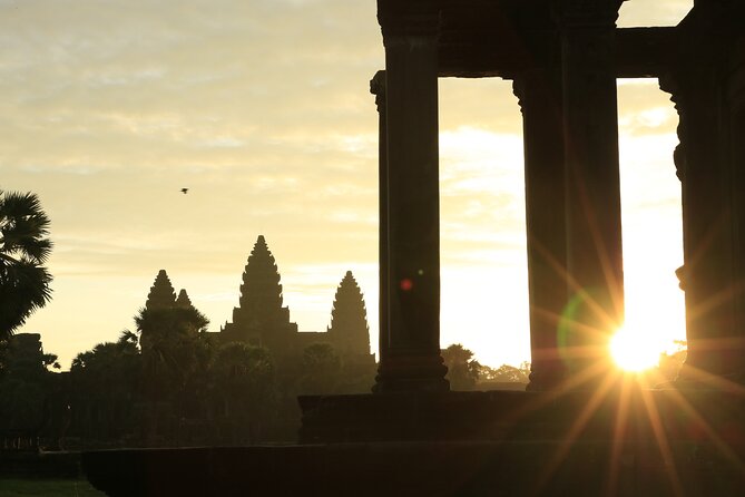 Sunrise Tour of Angkor Temples from Siem Reap - Ta Prohm and the power of a movie setting