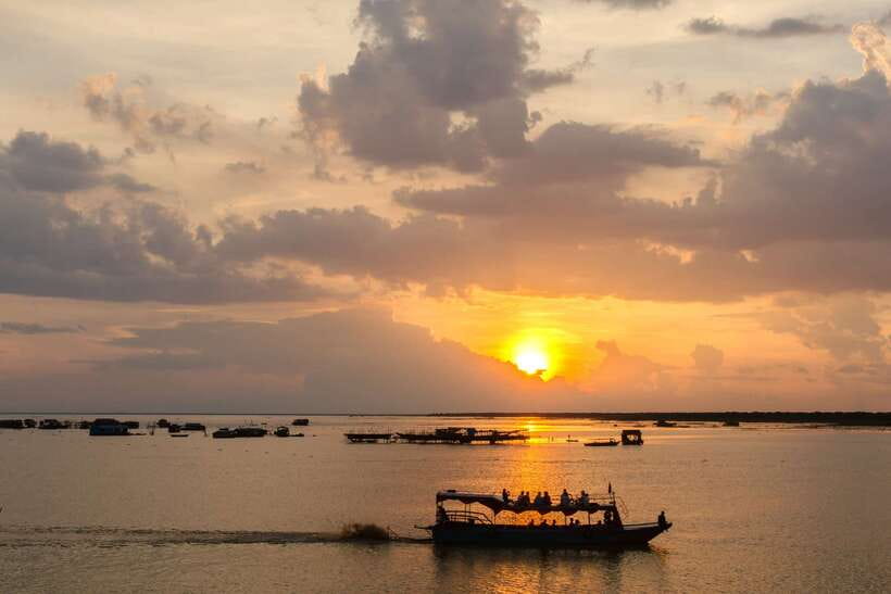 Sunset Dinner Tour: Tonle Sap Lake Floating Village - A lotus farm with more than pretty flowers