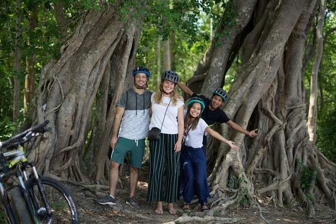 Sunset or sunrise bicycle tour around Angkor Wat and nearby temples - Ta Prohm and the famous tree roots