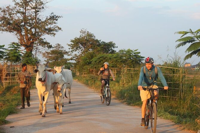 The Mekong Island Biking Tour and Lunch with farmers - Ferry crossings add a local sense of movement