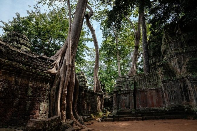 The Ultimate Angkor Wat Temple Private Day Trip - Who will get the most from this Angkor day
