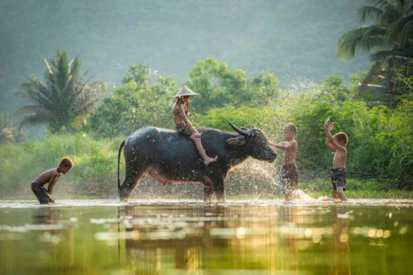 Tonle Sap Cruise & land Tour between Phnom Penh & Siem Reap - Who should book this trip?