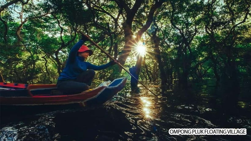 Tonle Sap Fishing Village & Flooded Forest Community Guide - Why Tonle Sap is worth your half-day