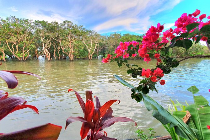 Tonle Sap, Floating village, Kompong Phluk Tour - Who should book this experience?