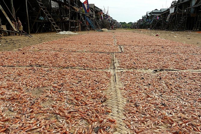 Tonle Sap Lake & Kampong Phluk Village Half-Day Tour - Morning or afternoon departure?