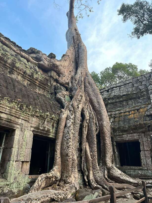 Tour de friends - Discover Angkor Wat Full Day Bike Tour - Phnom Bakheng and the sunset option