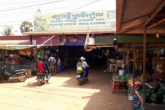 Tuk Tuk Journey: Exploring Rural Life and Silk Farm Craftsmanship - Why this countryside morning works after Angkor