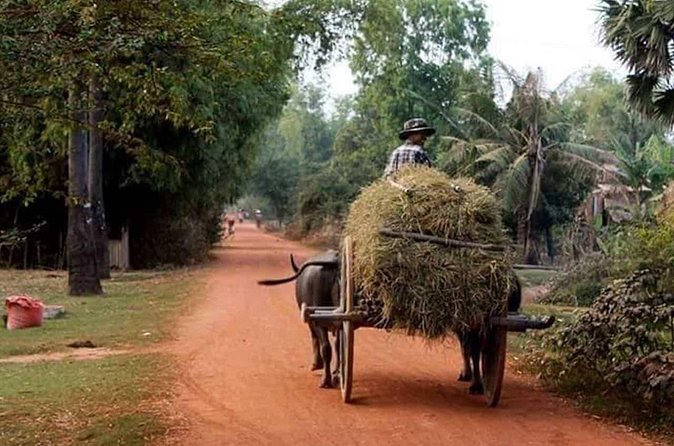 Tuk Tuk Journey: Exploring Rural Life and Silk Farm Craftsmanship - Who will enjoy this experience most