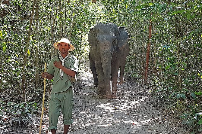 Walk with the Elephants by Cambodiajeep - Key details before you book