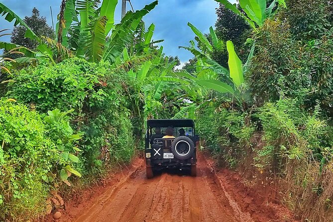Walk with the Elephants by Cambodiajeep - From Siem Reap to the foothills of Kulen Mountain