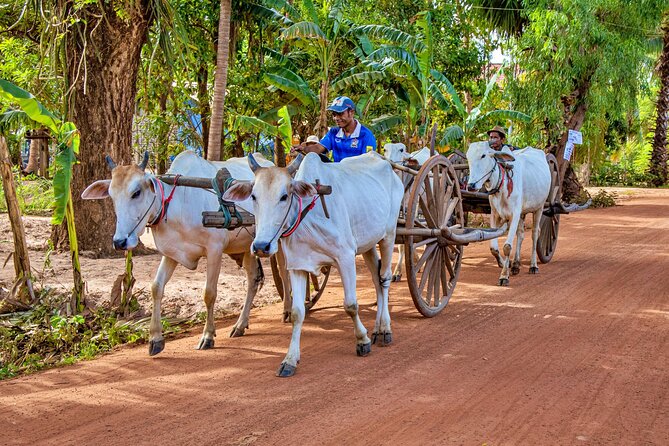 Walk with the Elephants by Cambodiajeep - Preah Dak and the small roads through the countryside