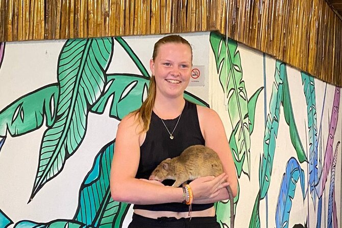 War Museum, Killing Field, and APOPO Hero RATs Tour - The Royal Residence and Siem Reap’s royal connection