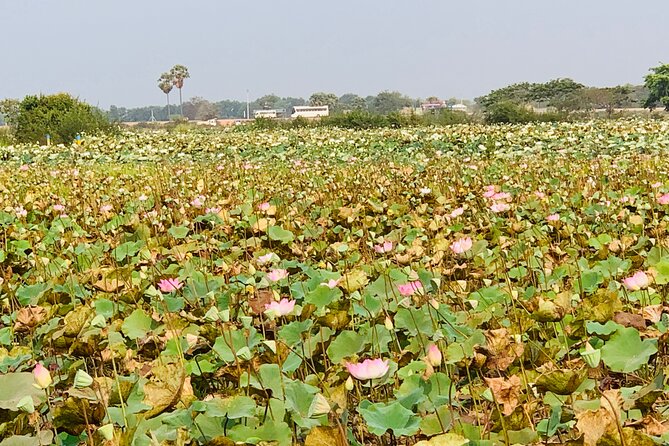War Museum, Killing Field and Floating village ( Chong Kneas) Tour - Wat Thmey and the killing fields of Siem Reap